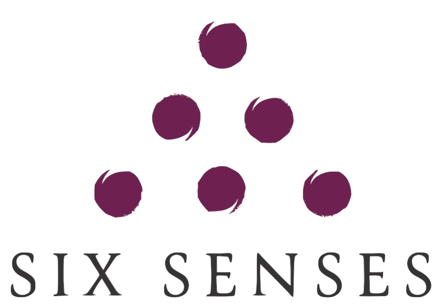 Six Senses contemporary wellness design logo